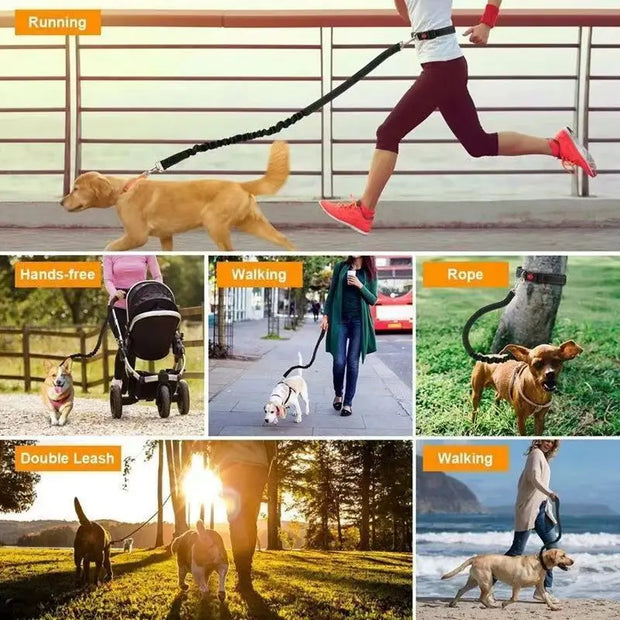 2025 NEW Cat Dog Hands-Free Leash Outdoor Sports Running Reflective Elastic Dog Walking Leash Chain Adjustable Pet Supplies