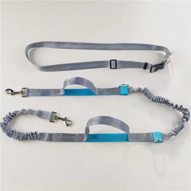 2025 NEW Cat Dog Hands-Free Leash Outdoor Sports Running Reflective Elastic Dog Walking Leash Chain Adjustable Pet Supplies