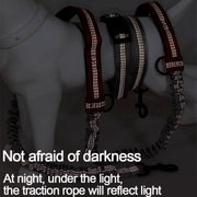 2025 NEW Cat Dog Hands-Free Leash Outdoor Sports Running Reflective Elastic Dog Walking Leash Chain Adjustable Pet Supplies