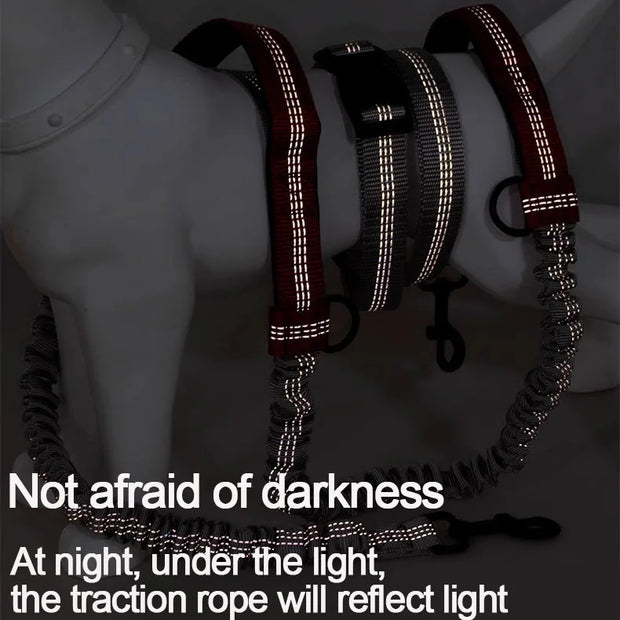 2025 NEW Cat Dog Hands-Free Leash Outdoor Sports Running Reflective Elastic Dog Walking Leash Chain Adjustable Pet Supplies