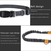 2025 NEW Cat Dog Hands-Free Leash Outdoor Sports Running Reflective Elastic Dog Walking Leash Chain Adjustable Pet Supplies