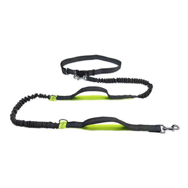 2025 NEW Cat Dog Hands-Free Leash Outdoor Sports Running Reflective Elastic Dog Walking Leash Chain Adjustable Pet Supplies