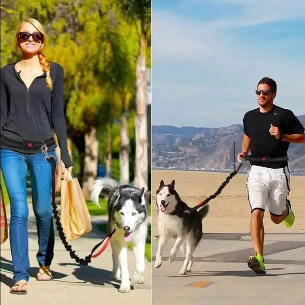 2025 NEW Cat Dog Hands-Free Leash Outdoor Sports Running Reflective Elastic Dog Walking Leash Chain Adjustable Pet Supplies