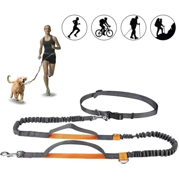 2025 NEW Cat Dog Hands-Free Leash Outdoor Sports Running Reflective Elastic Dog Walking Leash Chain Adjustable Pet Supplies