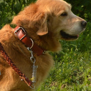 Pet Leather Dog Collar Leash For Large Dog Leather Dog Traction Drag Tow Rope Chain Pet Dog Supplies Accessories Prevent Runaway