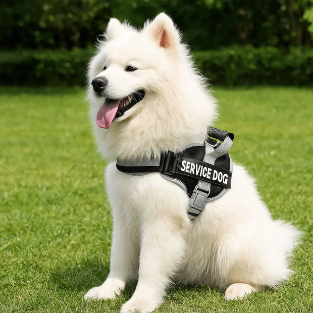 Puppy Accessories Adjustable Dog Harness Reflective Leash Set Adjustable Harness No Pull Harness Outdoor Walking