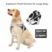 Puppy Accessories Adjustable Dog Harness Reflective Leash Set Adjustable Harness No Pull Harness Outdoor Walking