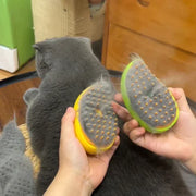 Steamy Brush for and Dog, Steam Brush, Sprayer for Massage, Pet Grooming Tool, Shedding Combs, 3 in 1