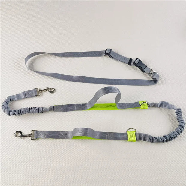 2025 NEW Cat Dog Hands-Free Leash Outdoor Sports Running Reflective Elastic Dog Walking Leash Chain Adjustable Pet Supplies