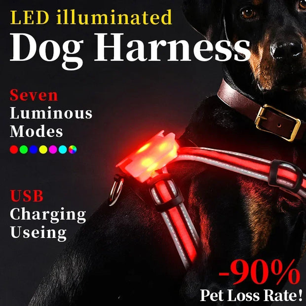 Adjustable LED Dog Harness, Rechargeable, Flashing, Waterproof, Night Anti-Lost, Light Harness, Luminous Dog Collar