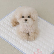 Pet Dog Cooling Sleeping Pad Puppy Cat Summer Cooling Sensation Waterproof Anti Slip Cooling Pad Light Breathable Cooling Mat
