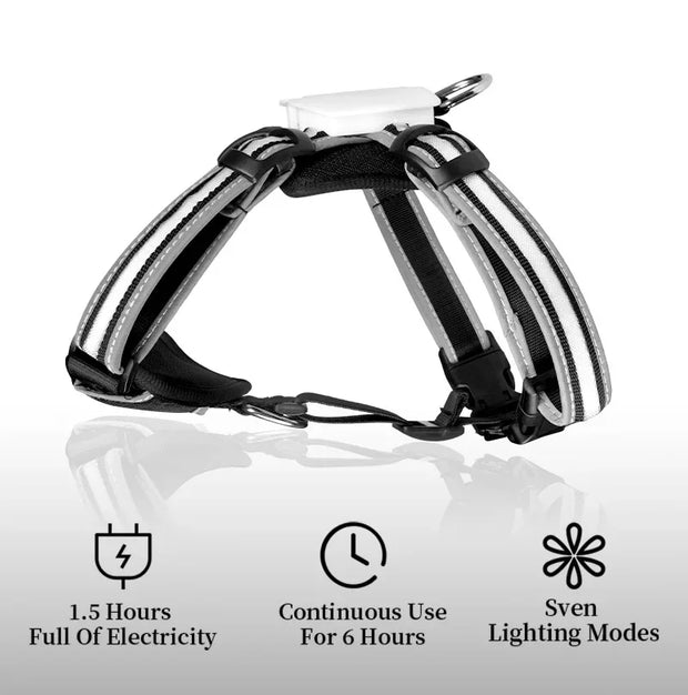 Adjustable LED Dog Harness, Rechargeable, Flashing, Waterproof, Night Anti-Lost, Light Harness, Luminous Dog Collar