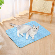 Summer pet ice pad, cooling ice pad, bite resistant pet pad, cat sofa pad, dog cooling floor pad