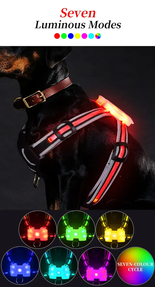Adjustable LED Dog Harness, Rechargeable, Flashing, Waterproof, Night Anti-Lost, Light Harness, Luminous Dog Collar