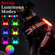 Adjustable LED Dog Harness, Rechargeable, Flashing, Waterproof, Night Anti-Lost, Light Harness, Luminous Dog Collar