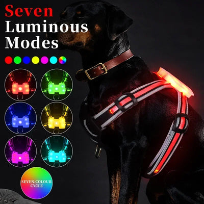 Adjustable LED Dog Harness, Rechargeable, Flashing, Waterproof, Night Anti-Lost, Light Harness, Luminous Dog Collar