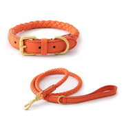 PU Leather Alloy Dog Collar Durable Fashion Knitted Traction Rope for Medium Dogs Outdoor Walking Accessories