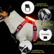 Adjustable LED Dog Harness, Rechargeable, Flashing, Waterproof, Night Anti-Lost, Light Harness, Luminous Dog Collar