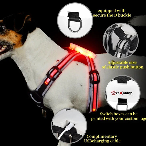 Adjustable LED Dog Harness, Rechargeable, Flashing, Waterproof, Night Anti-Lost, Light Harness, Luminous Dog Collar