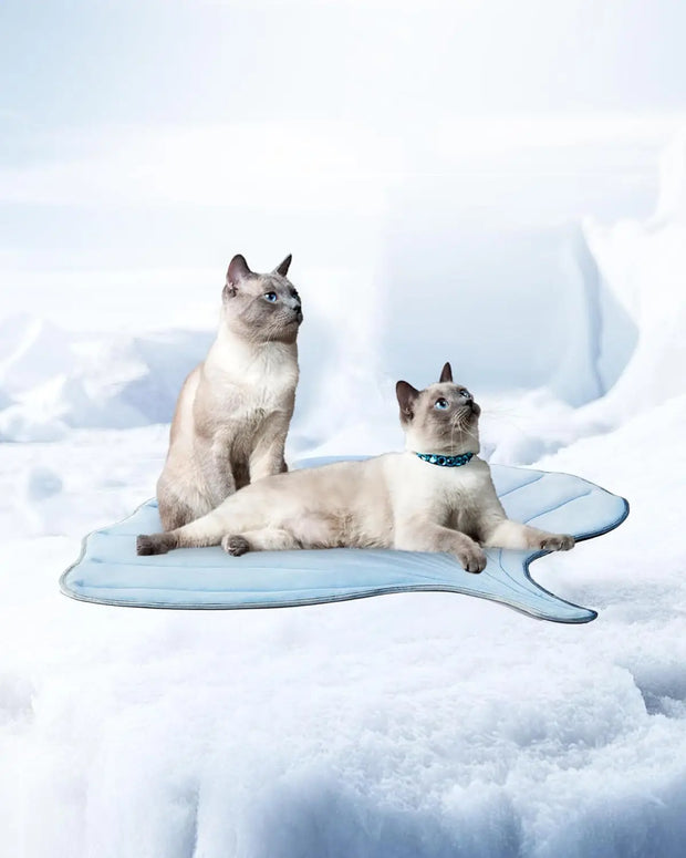 Cool pet Mat Eco-friendly Cooling Pad for Large Dog Pet Cooling Mats for Dog bed & Cat house Use in Crate Tunk Camping Outdoor