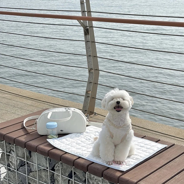 Pet Dog Cooling Sleeping Pad Puppy Cat Summer Cooling Sensation Waterproof Anti Slip Cooling Pad Light Breathable Cooling Mat