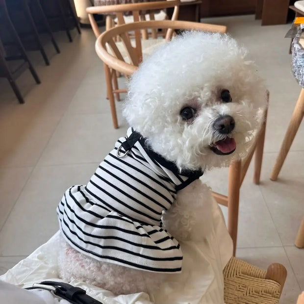 Pet Couple Outfits Cute Dog Striped T-shirts Breathable Thin Design Pet Skirt Soft Cat Lapel Dresses Spring Summer