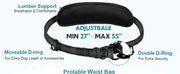 Hands Free Dog Leash with Pouch, Double Leash for Two Dogs, Retractable Bungee with Double Padded Handles, Dog harness