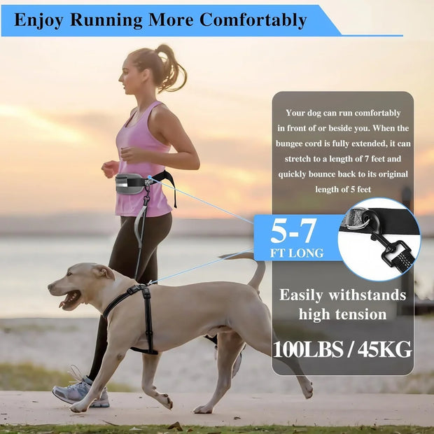 Hands Free Waist Leash for Dog Walking Running Hiking with Zipper Pouch, Adjustable Belt, Dual Padded Handles, Reflective Bungee