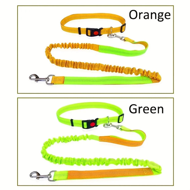 Dog Leash Free Hands Supplies Elastic Nylon Leash for Running and Walking Dog Accessories Retractable Dog Leash