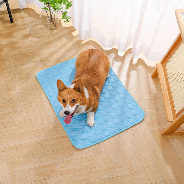 Summer pet ice pad, cooling ice pad, bite resistant pet pad, cat sofa pad, dog cooling floor pad