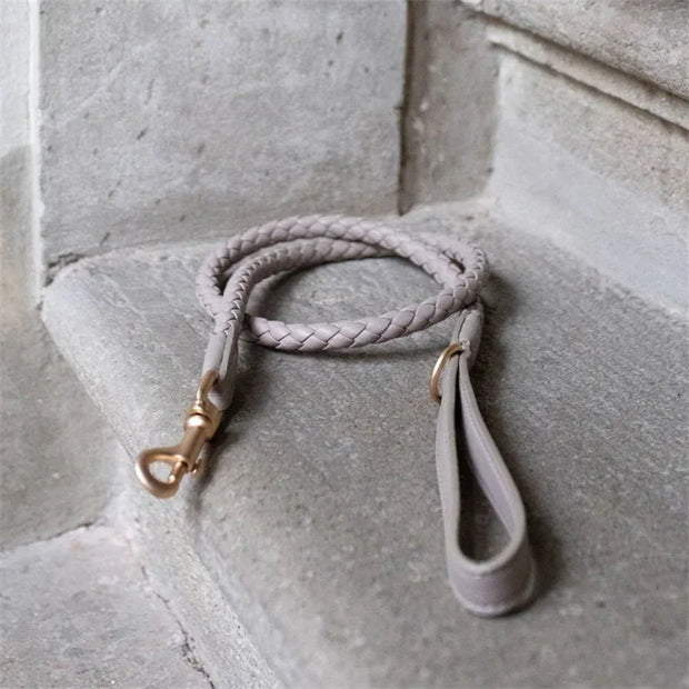 PU Leather Alloy Dog Collar Durable Fashion Knitted Traction Rope for Medium Dogs Outdoor Walking Accessories