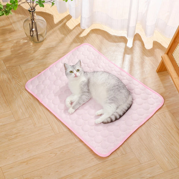 Summer pet ice pad, cooling ice pad, bite resistant pet pad, cat sofa pad, dog cooling floor pad