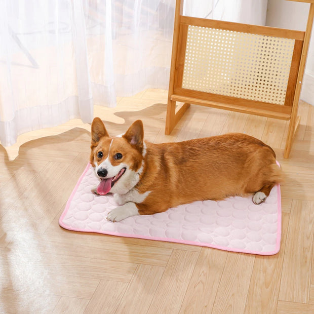 Summer pet ice pad, cooling ice pad, bite resistant pet pad, cat sofa pad, dog cooling floor pad
