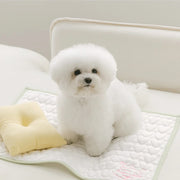 Pet Dog Cooling Sleeping Pad Puppy Cat Summer Cooling Sensation Waterproof Anti Slip Cooling Pad Light Breathable Cooling Mat