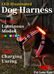 Adjustable LED Dog Harness, Rechargeable, Flashing, Waterproof, Night Anti-Lost, Light Harness, Luminous Dog Collar