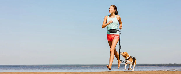 Hands Free Dog Leash with Pouch, Double Leash for Two Dogs, Retractable Bungee with Double Padded Handles, Dog harness