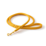 PU Leather Alloy Dog Collar Durable Fashion Knitted Traction Rope for Medium Dogs Outdoor Walking Accessories