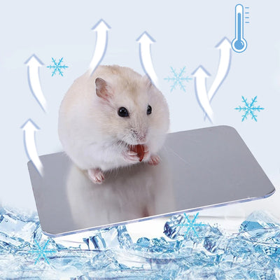 Pet Cooling Board Hamster Cooling Ice-pad Rabbit Golden Bear Heat Dissipation Board Aluminum plate Cool Mat Summer Cool supplies