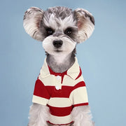 Pet Dog Polo Shirt Dog Clothes Summer Casual Clothing for Small Large Dogs Cats T-Shirt Chihuahua Pug Costumes Yorkshire Shirts