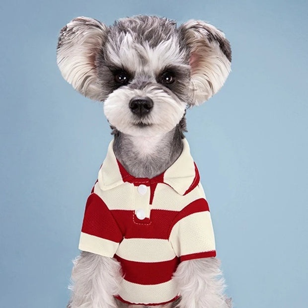 Pet Dog Polo Shirt Dog Clothes Summer Casual Clothing for Small Large Dogs Cats T-Shirt Chihuahua Pug Costumes Yorkshire Shirts