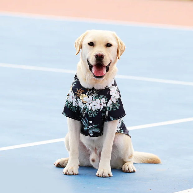 Pet Dog Clothes Puppy Vest T-shirt Shirt Cute Spring Pet Costume Roupas Para caes Bottoming Shirt Dog Costume Puppy Clothes