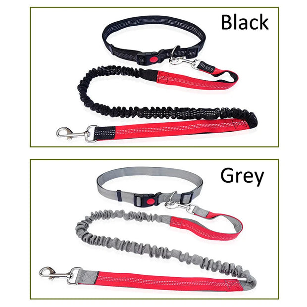 Dog Leash Free Hands Supplies Elastic Nylon Leash for Running and Walking Dog Accessories Retractable Dog Leash