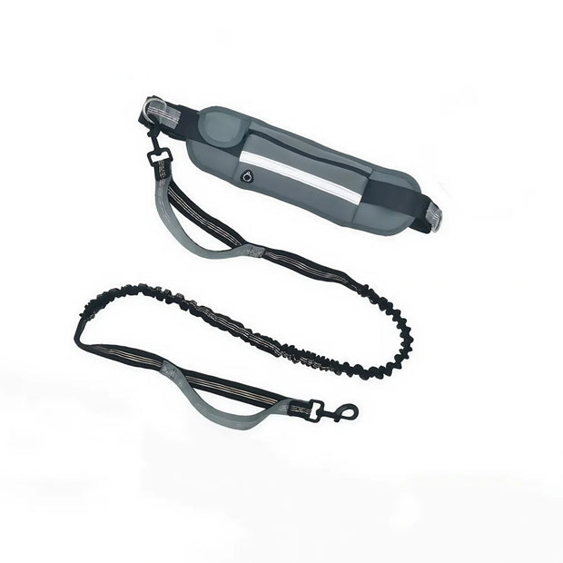 Hands Free Waist Leash for Dog Walking Running Hiking with Zipper Pouch, Adjustable Belt, Dual Padded Handles, Reflective Bungee