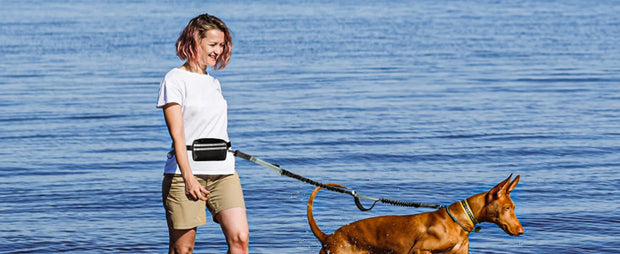 Hands Free Dog Leash with Pouch, Double Leash for Two Dogs, Retractable Bungee with Double Padded Handles, Dog harness