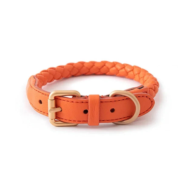 PU Leather Alloy Dog Collar Durable Fashion Knitted Traction Rope for Medium Dogs Outdoor Walking Accessories