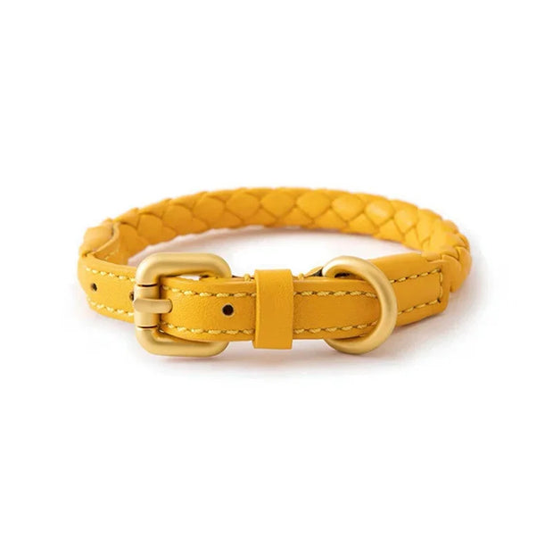 PU Leather Alloy Dog Collar Durable Fashion Knitted Traction Rope for Medium Dogs Outdoor Walking Accessories