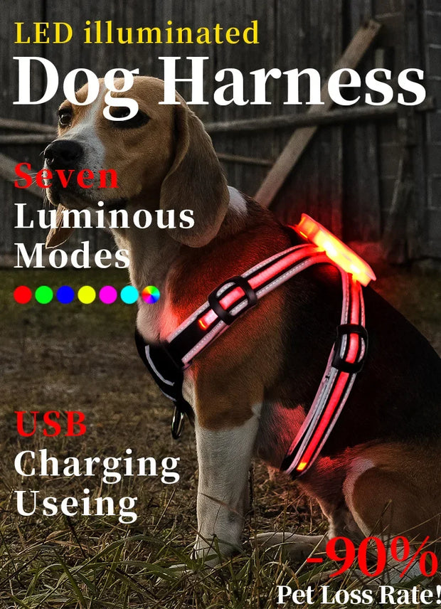 Adjustable LED Dog Harness, Rechargeable, Flashing, Waterproof, Night Anti-Lost, Light Harness, Luminous Dog Collar