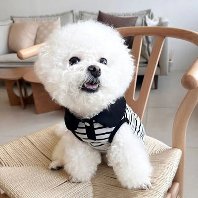 Pet Couple Outfits Cute Dog Striped T-shirts Breathable Thin Design Pet Skirt Soft Cat Lapel Dresses Spring Summer