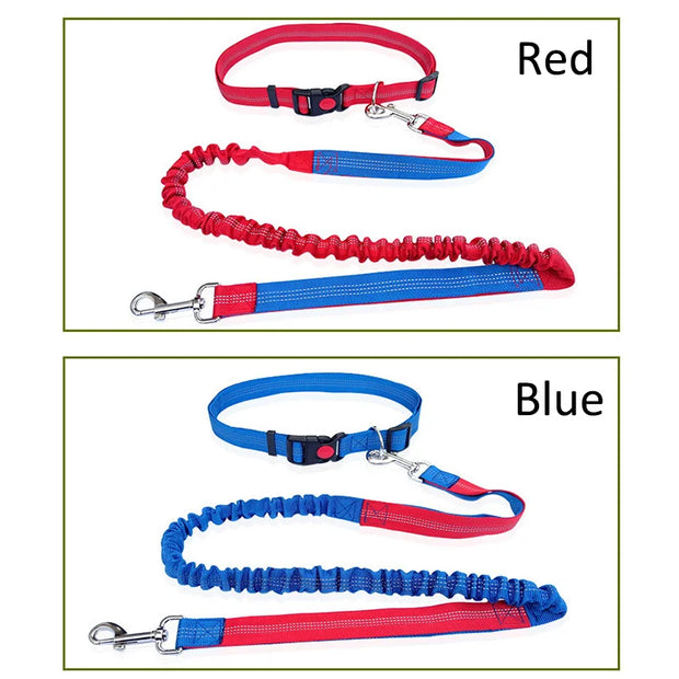 Dog Leash Free Hands Supplies Elastic Nylon Leash for Running and Walking Dog Accessories Retractable Dog Leash