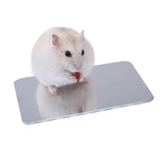 Pet Cooling Board Hamster Cooling Ice-pad Rabbit Golden Bear Heat Dissipation Board Aluminum plate Cool Mat Summer Cool supplies